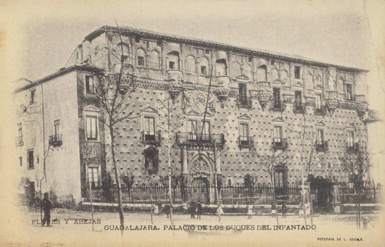 Palacio del Infantado, Gudalajara, Spanien (s/h-foto) af Spanish Photographer