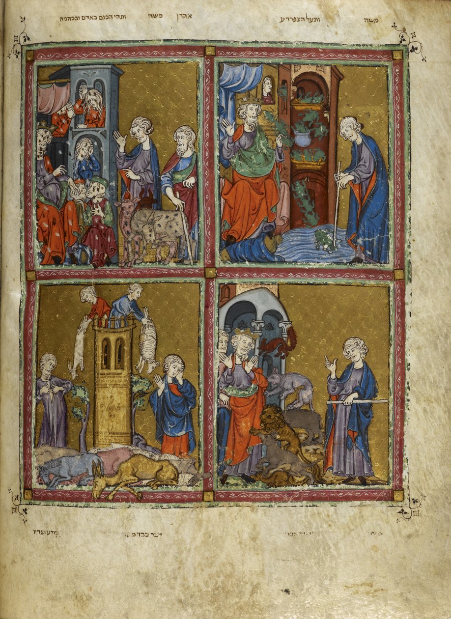 Tilføje. 27210, f.12v Scener fra Anden Mosebog: Luseplagerne, frøerne, murrain og pest, illustrationer fra 