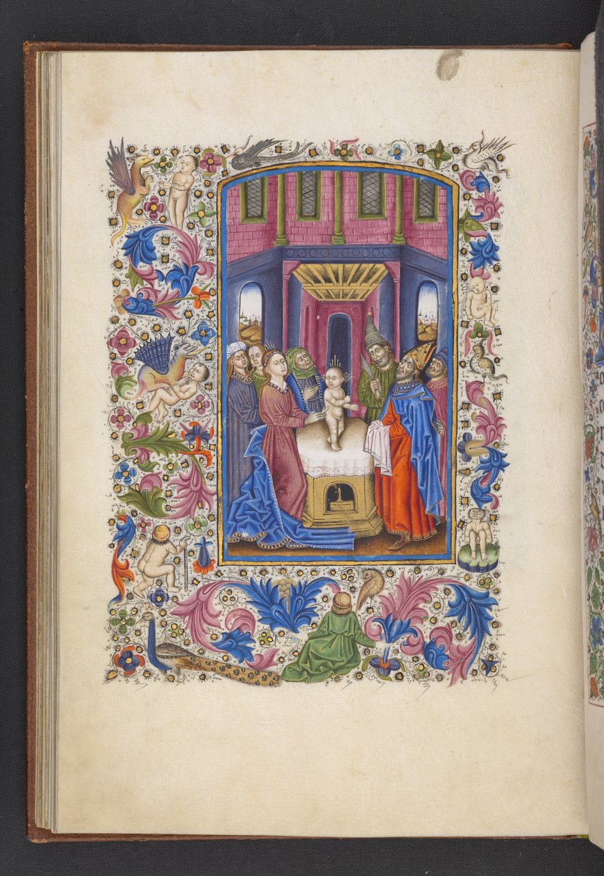 Tilføj MS 50004 f.41v The Circumcision, fra en 