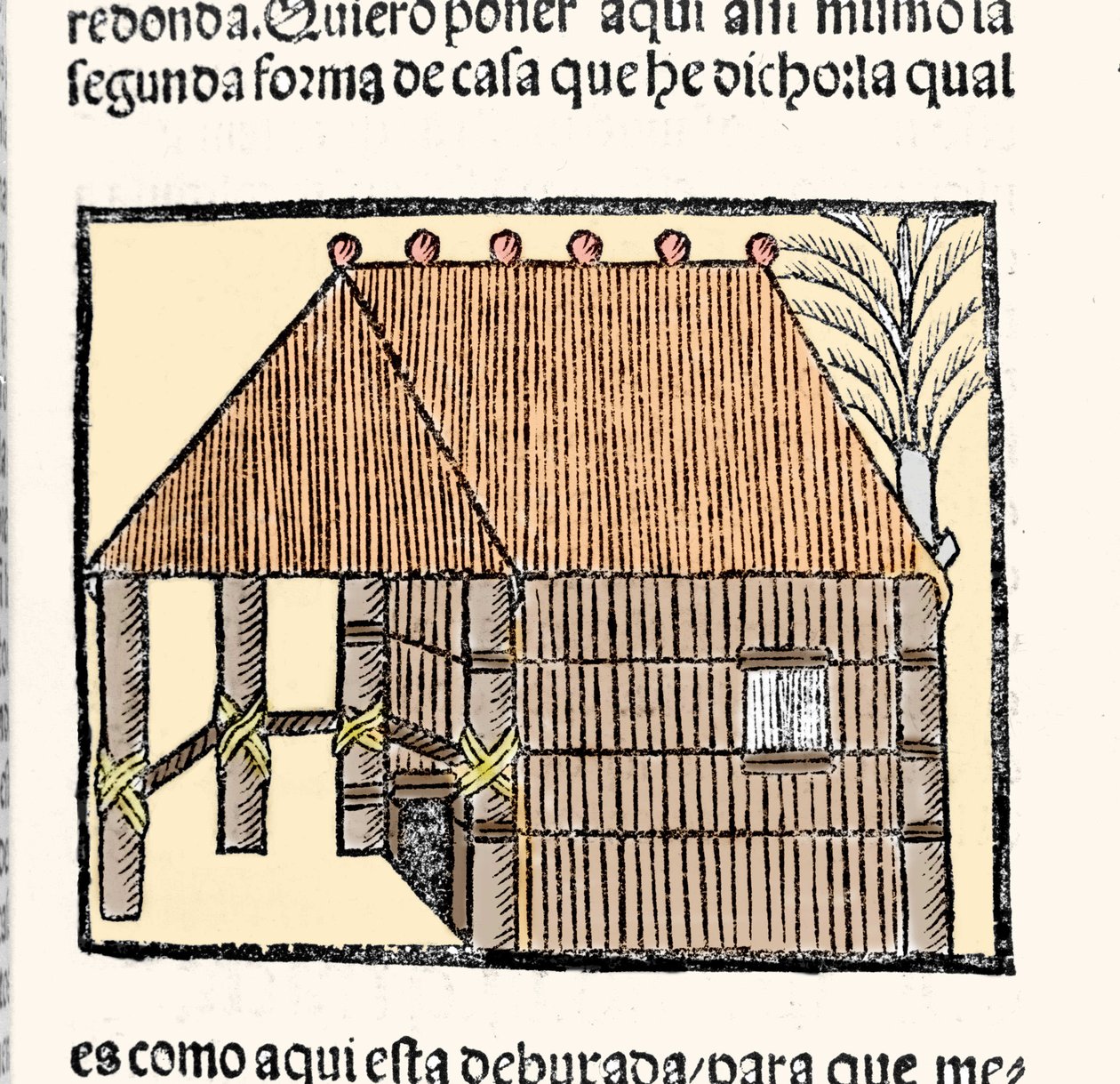 Habitat: beskrivelse af hytteindianerne. Indgravering fra bogen "General history of the Indias, islands and continent of the ocean sea"" af Gonzalo Fernandez de Oviedo eller Hernandez de Oviedo y Valdes (1478-1557) af Spanish School