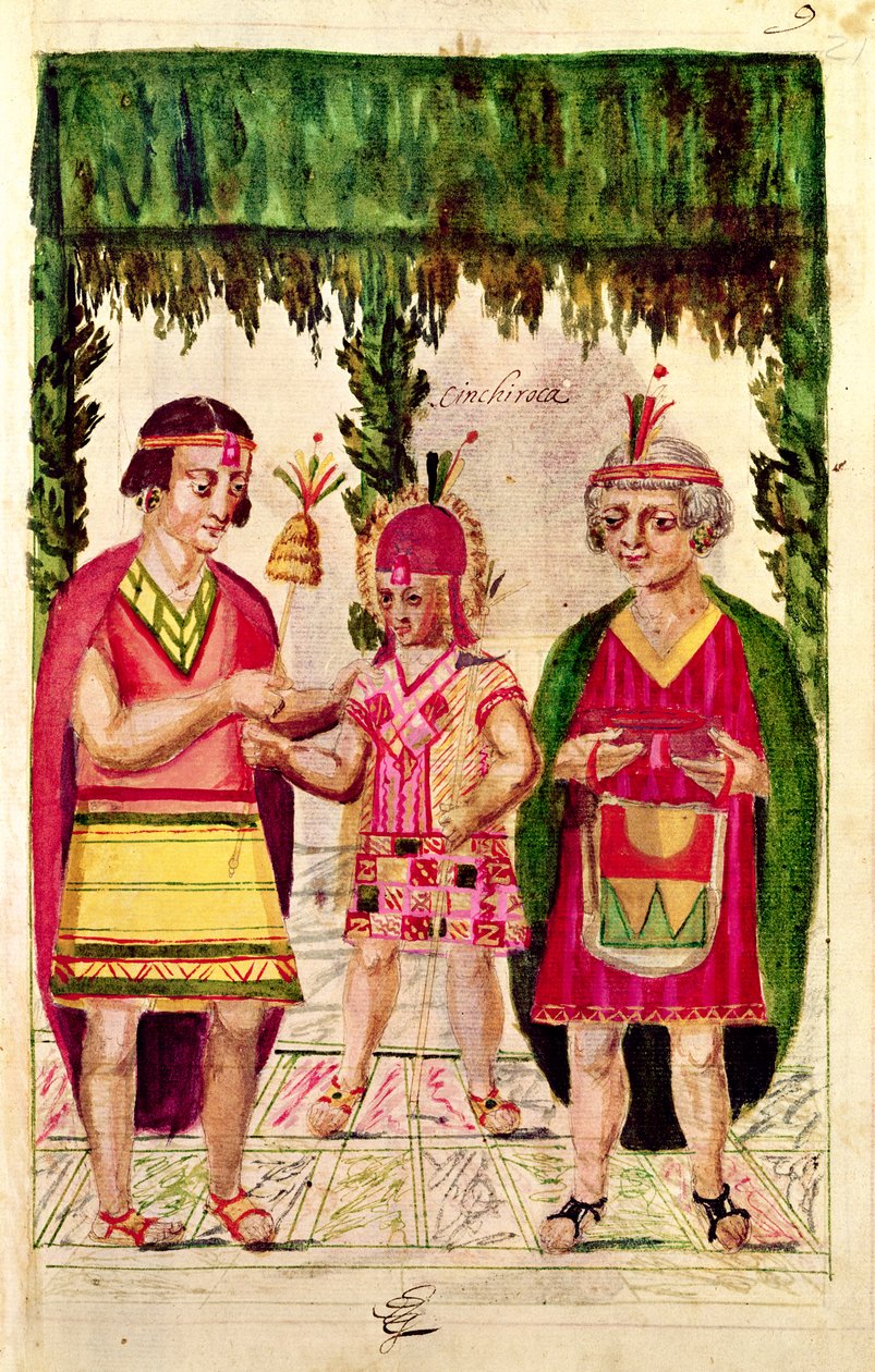 Illustration af Cincheroca, fra 