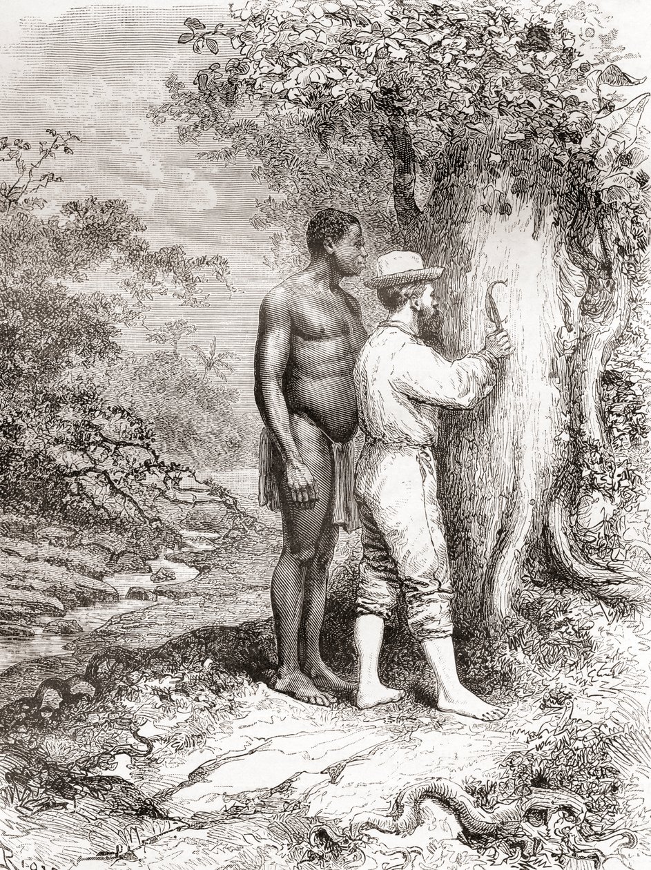 Jules Crevaux skar under sin udforskning af Fransk Guyana i 1878 sine initialer på et træ på bredden af Oyapock- eller Oiapoque-floden af Spanish School