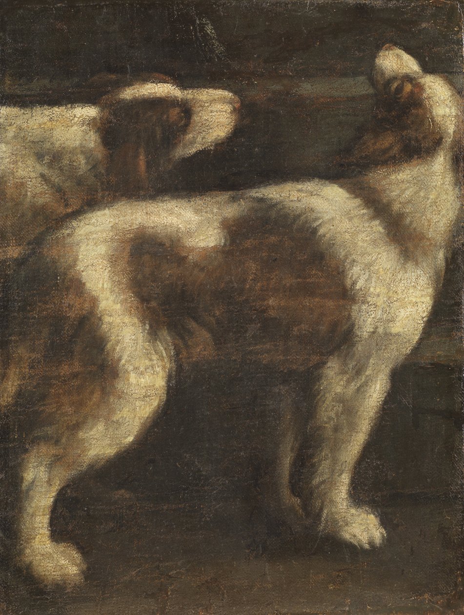 To Hunde af Spanish School