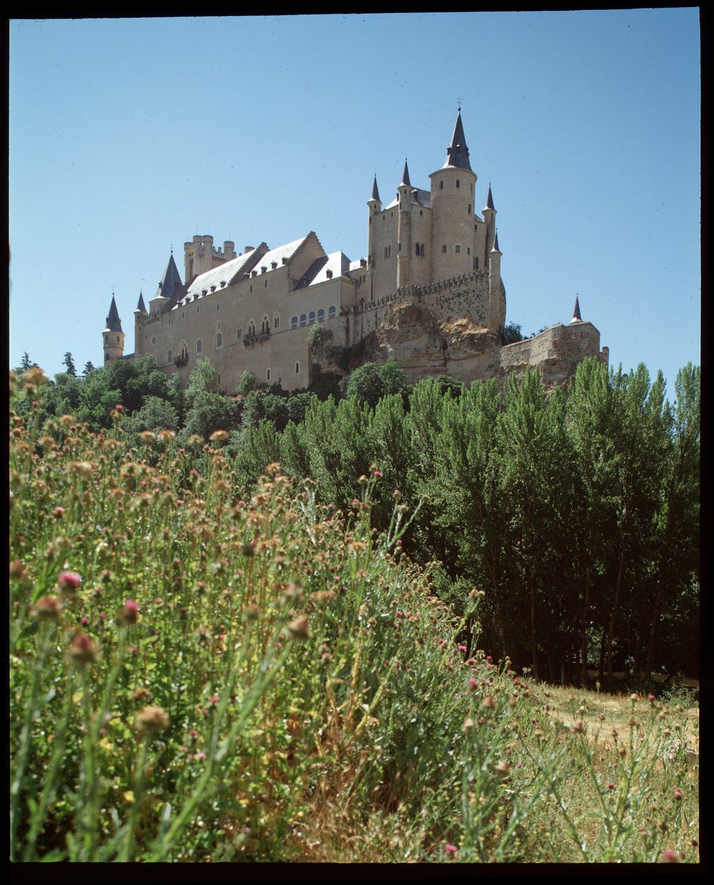 Udsigt over alcazar af Spanish School