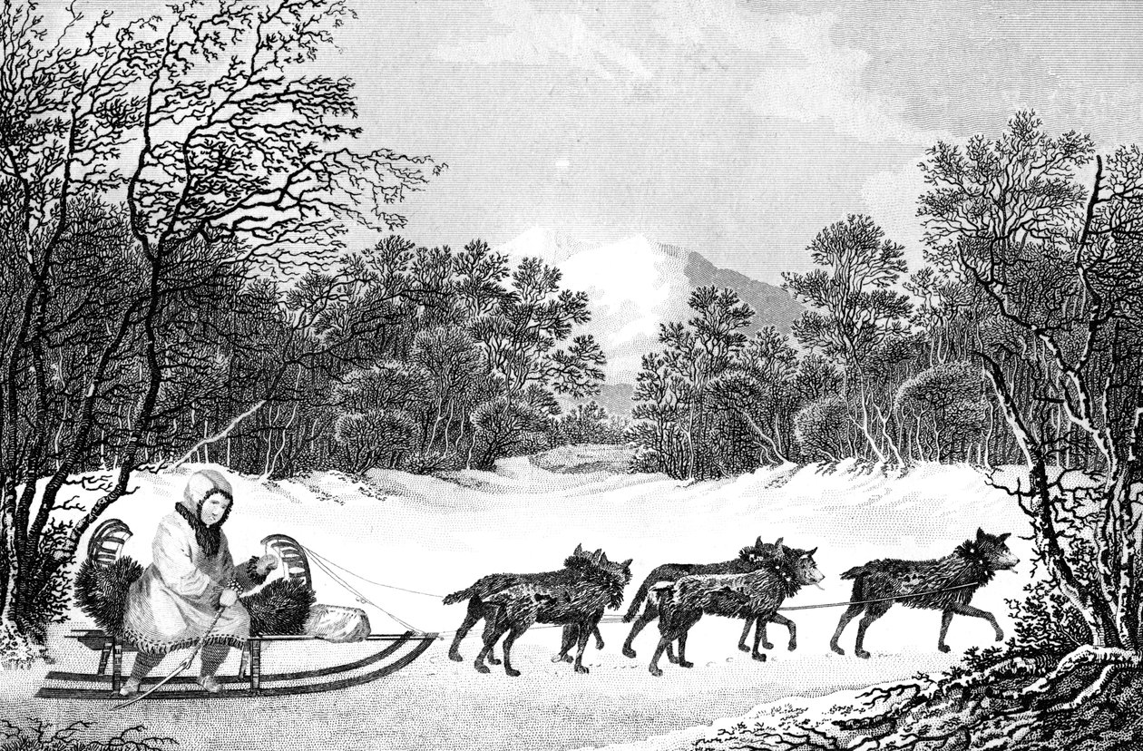 Den måde at rejse om vinteren i Kamtschatka, 1800-tallet. af Sparrow