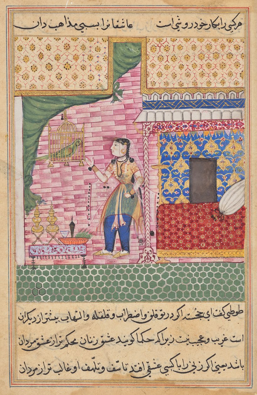 Papegøjen henvender sig til Khujasta i begyndelsen af den syttende nat, fra en Tuti-nama (Fortællinger om en papegøje) af Sravana