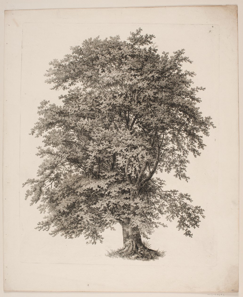 "Studier efter Naturen med Hensyn til Landskabstegning af S.H. Petersen", nr. 2 af Søren Henrik Petersen