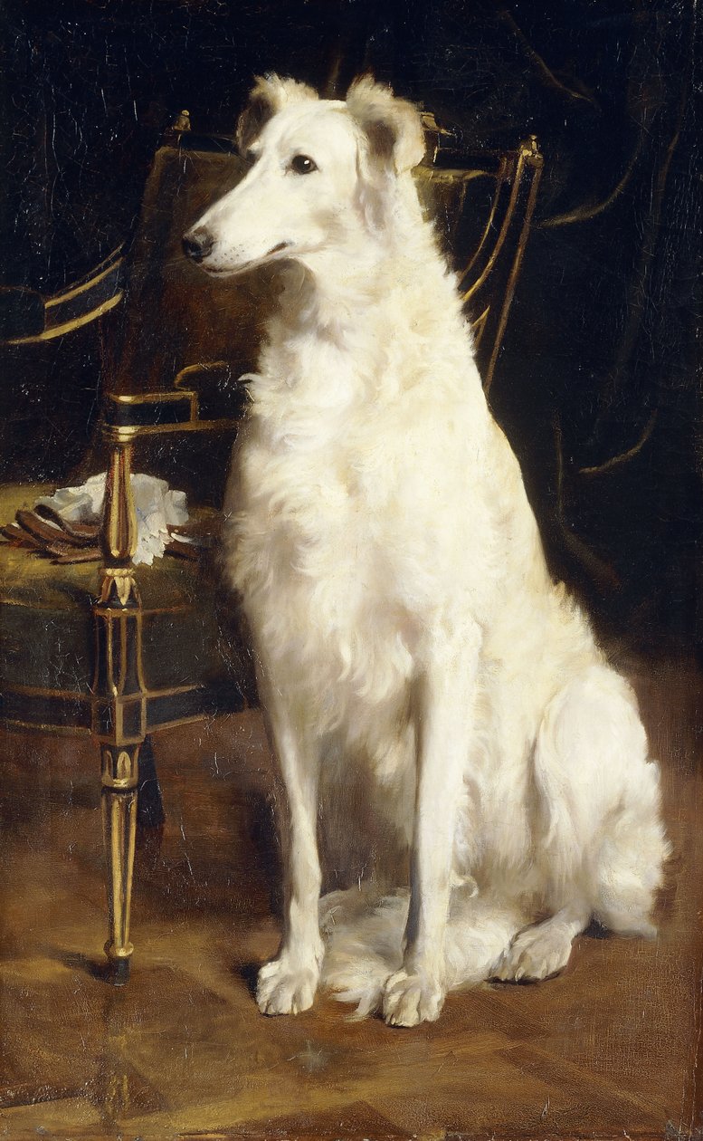 En Borzoi ved en stol af St. George Hare