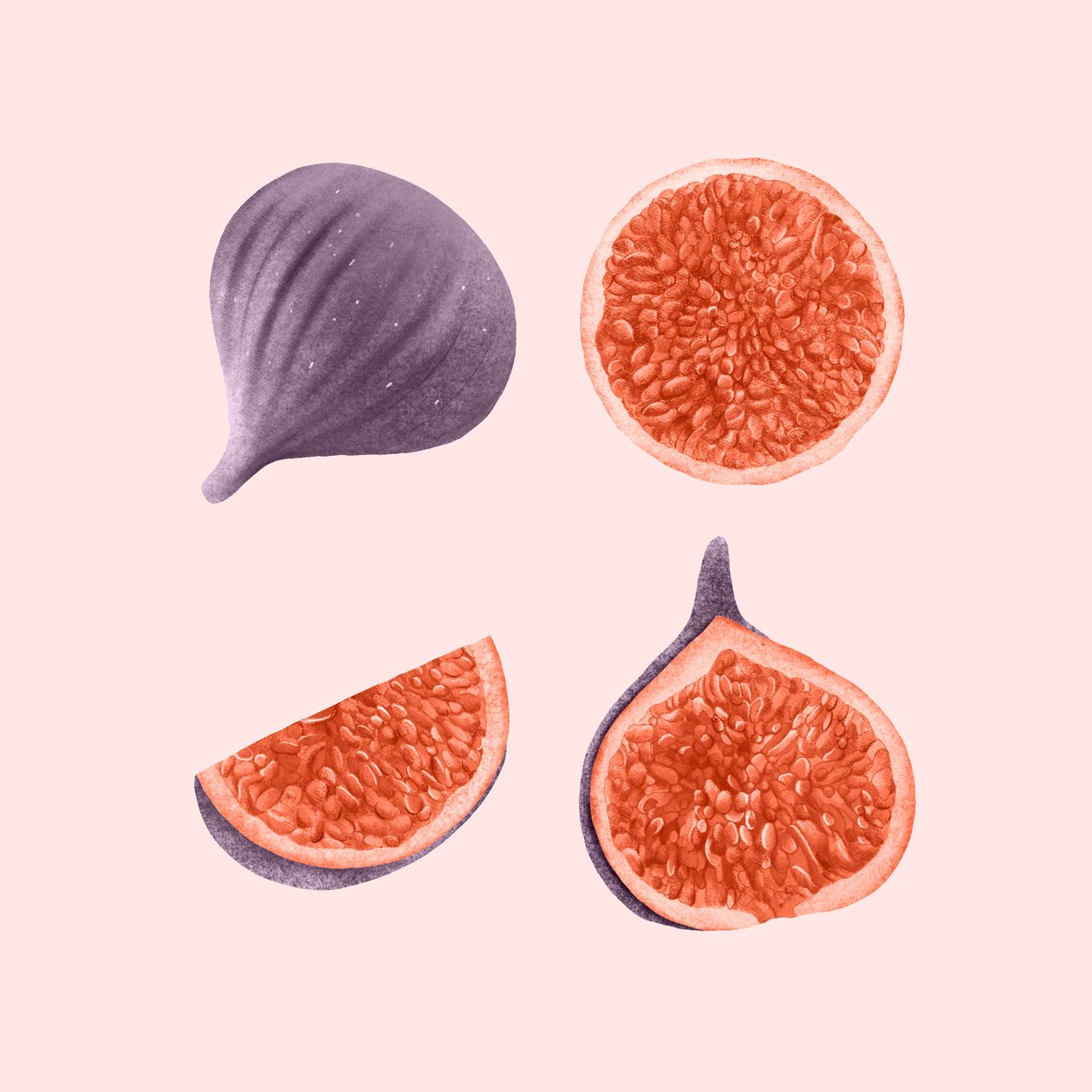Figner, 2021 (grafitblyant  digital) af Stacy Hsu