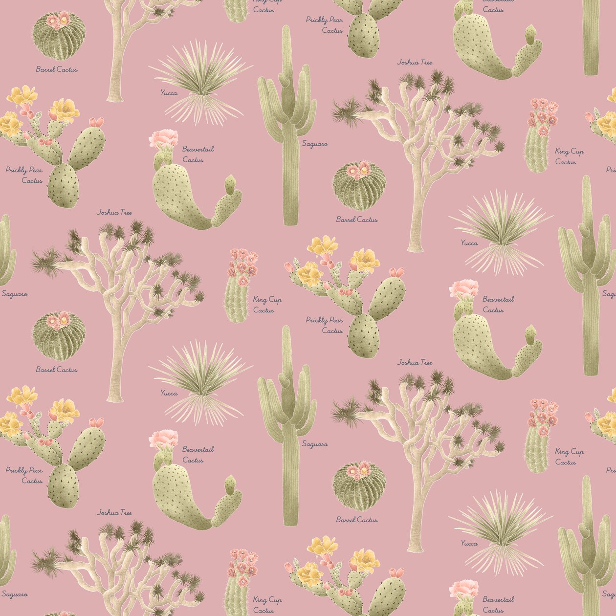 Mojave Desert Cacti-mønster, 2021 (grafitblyant og digital) af Stacy Hsu
