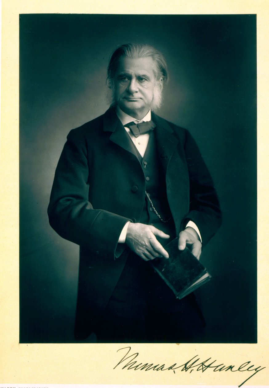 Professor Thomas H. Huxley (1825-95), biolog, portrætfoto af Stanislaus Walery