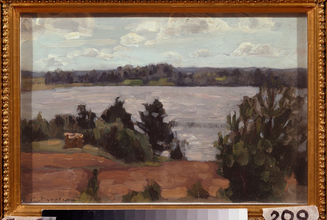 Ved bredden af ​​søen. Værk af Stanislav Yulianovich Zhukovsky (Zhukovsky) (1873-1944), olie på pap af Stanislav Joulianovitch Joukovski
