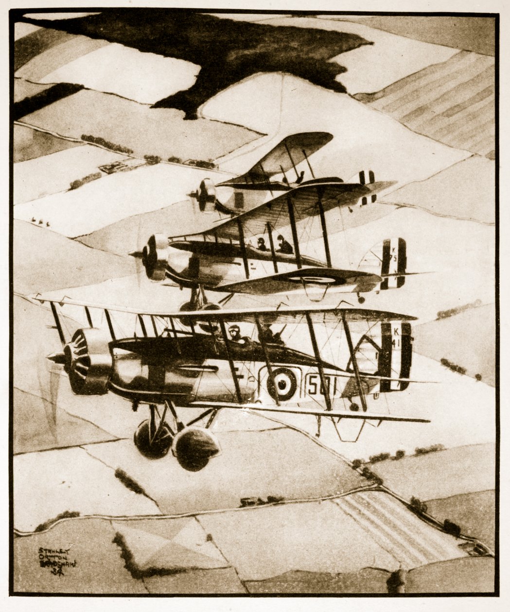 Terriers, illustration fra 