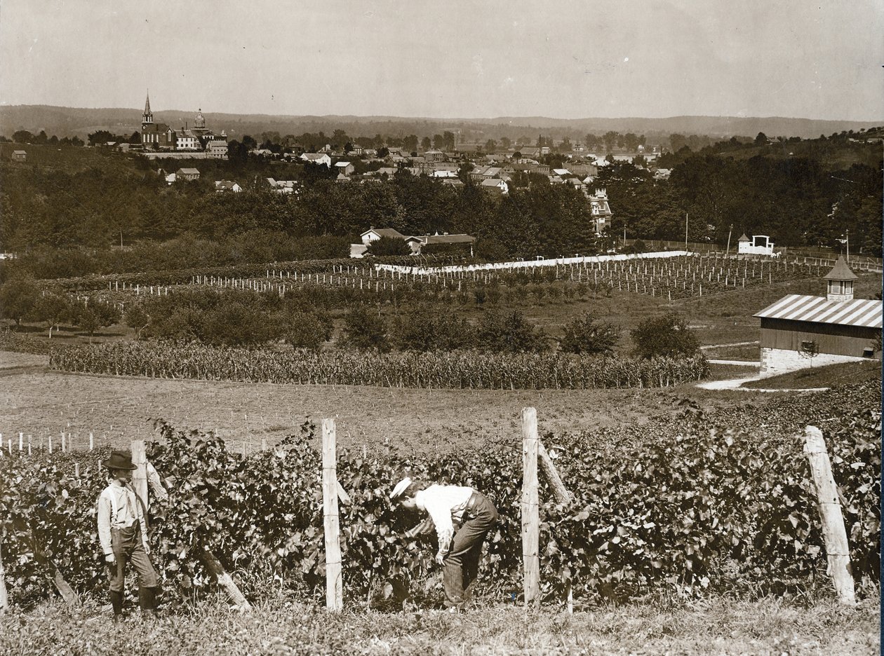 Udsigt med udsigt over vinmarker ved Hermann, Missouri af George Stark
