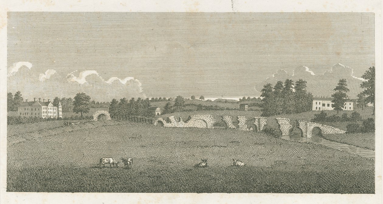 Wolseley Bridge: gravering af Stebbing Shaw