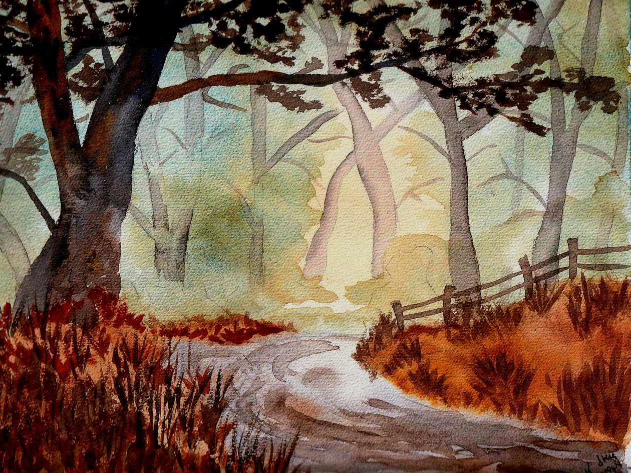 Den fortryllede skov af Steegs Art Karin