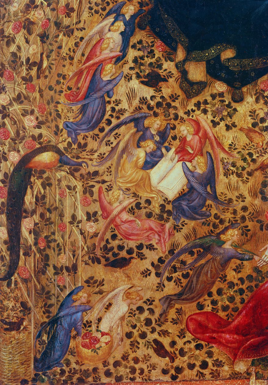 Madonna med en rosenbusk af Stefano di Giovanni da Verona