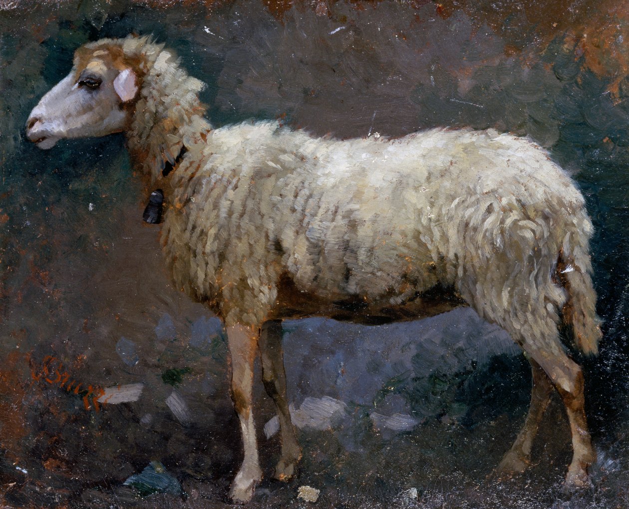 Får i profil, maleri af Stefano Bruzzi (1835-1911), olie på pap af Stefano Bruzzi