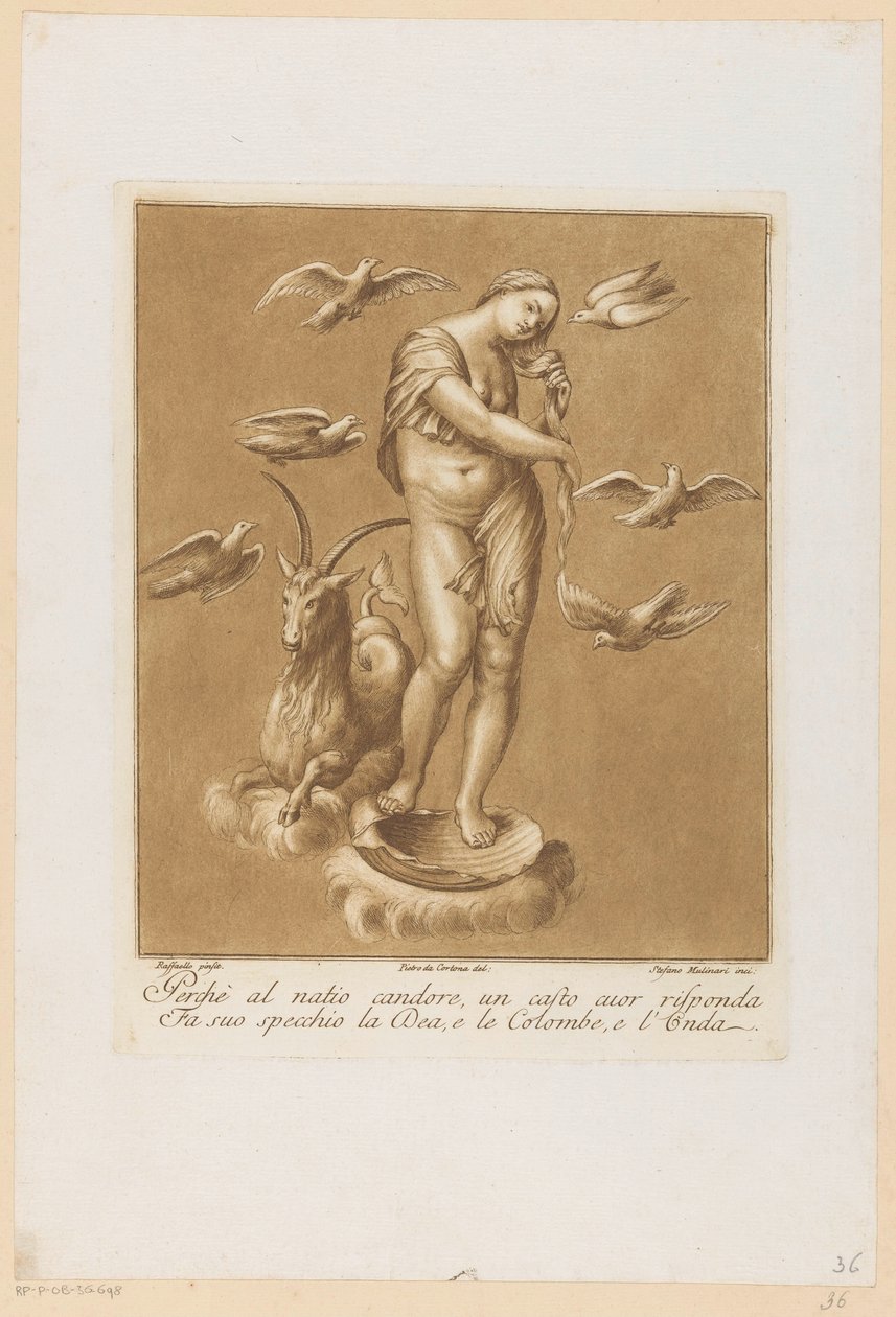 Venus Anadyomene Plafondschilderingen van de Loggia di Galatea i de Villa Farnesina te Rom (serietitel) af Stefano Mulinari