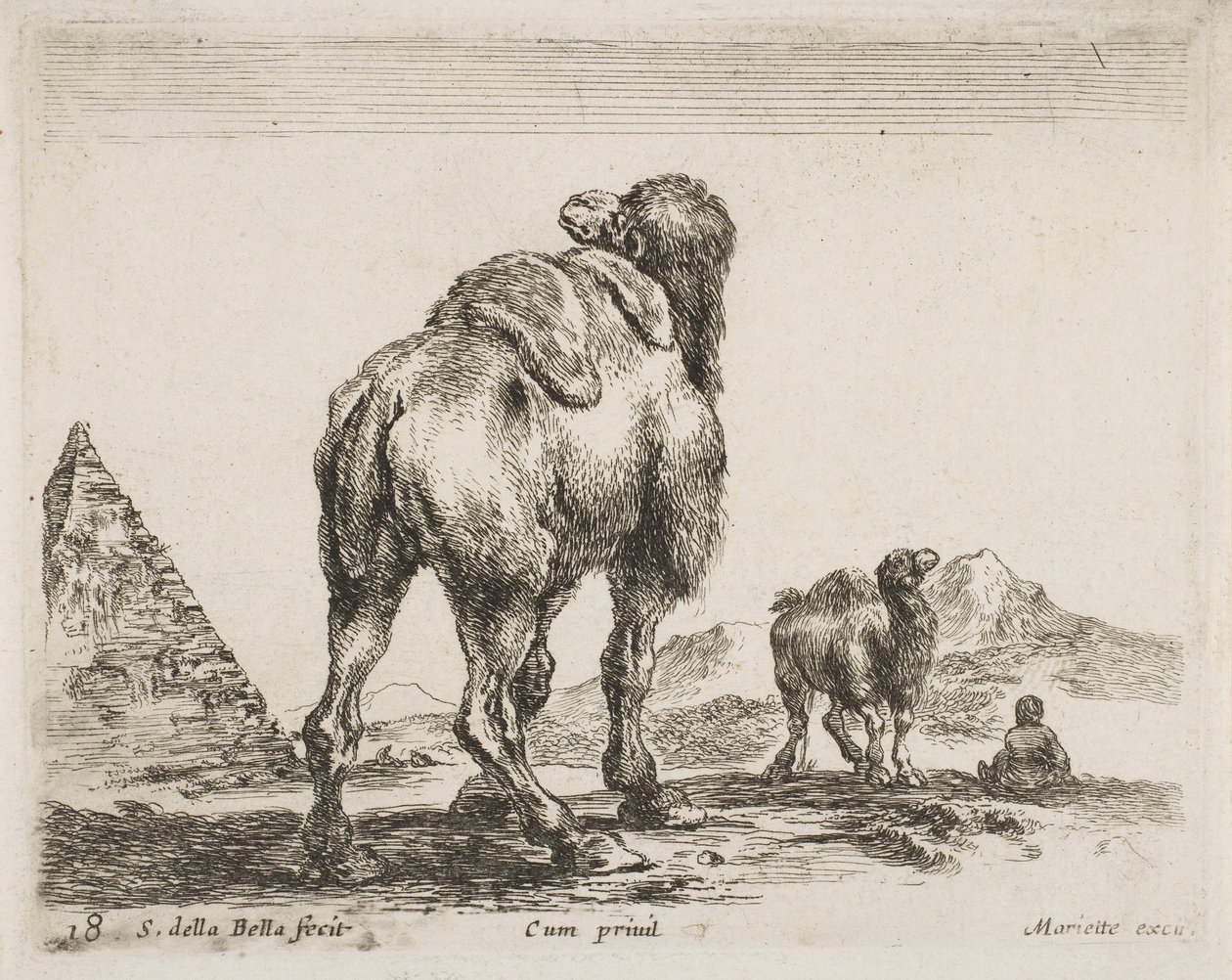 Kamel set bagfra, pub. 1641 fra Diversi Animali af Stefano della Bella