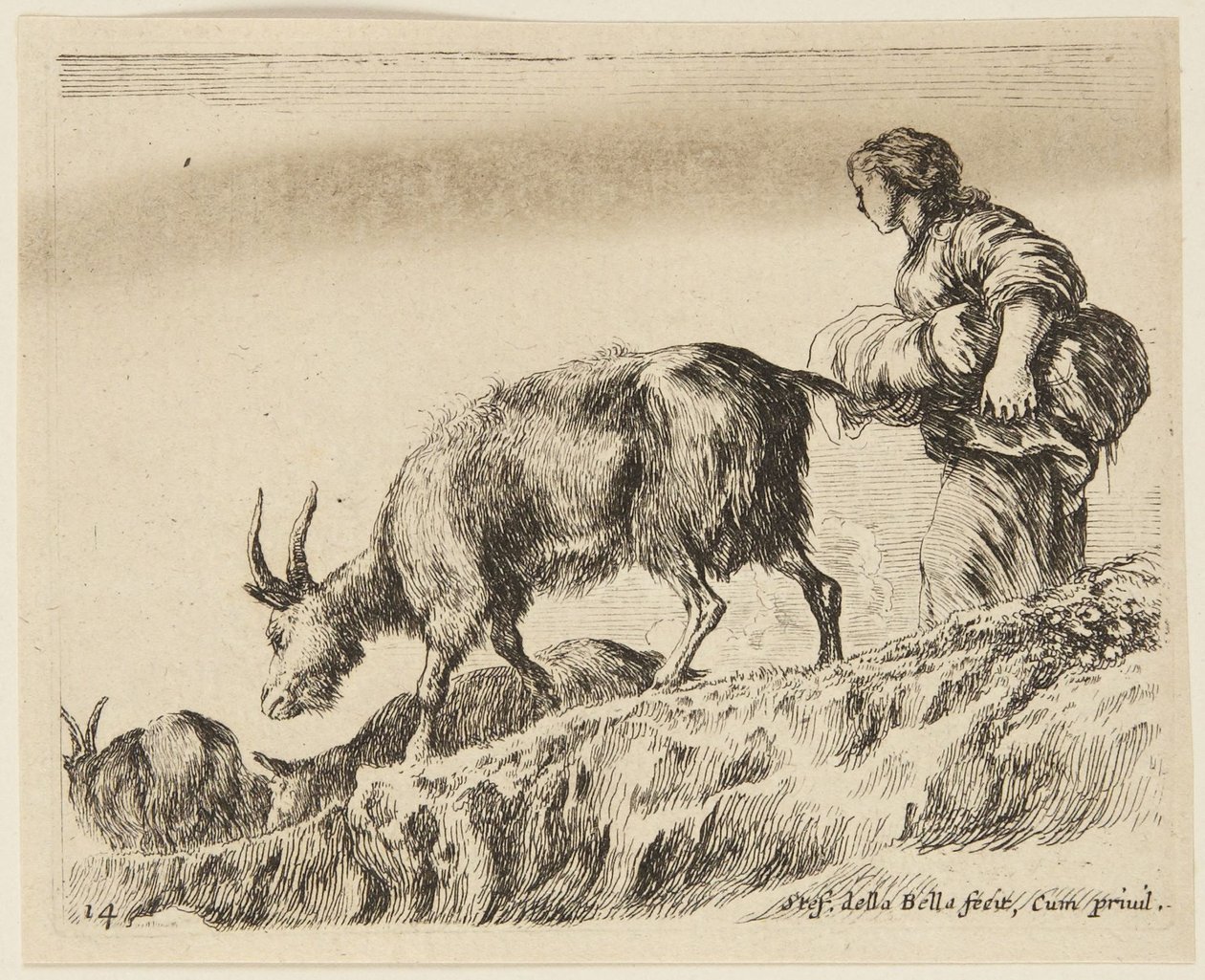 Geder (Forskellige dyr, 14) af Stefano della Bella