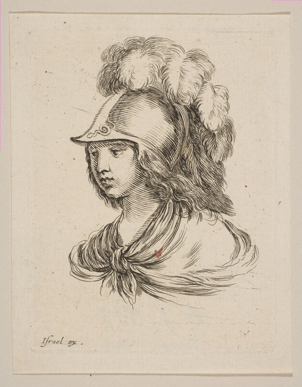 Head of Minerva, fra 