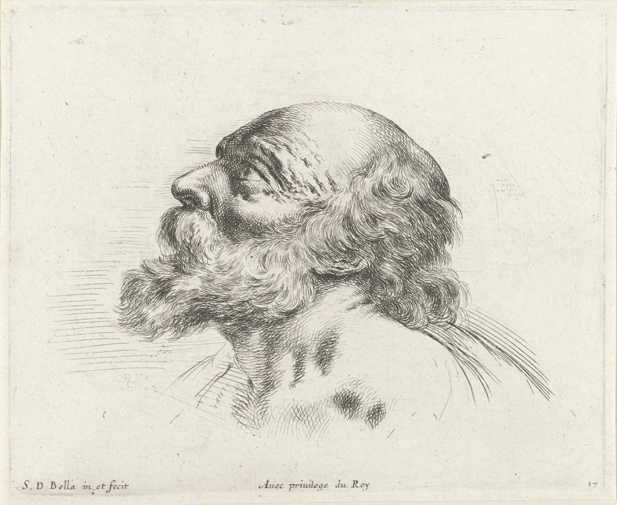 Hovedet af en skaldet gammel mand med skæg, i profil til venstre (muligvis St. Peter) Grundlæggende om tegning (serietitel) I principii del disegno (serietitel) af Stefano della Bella