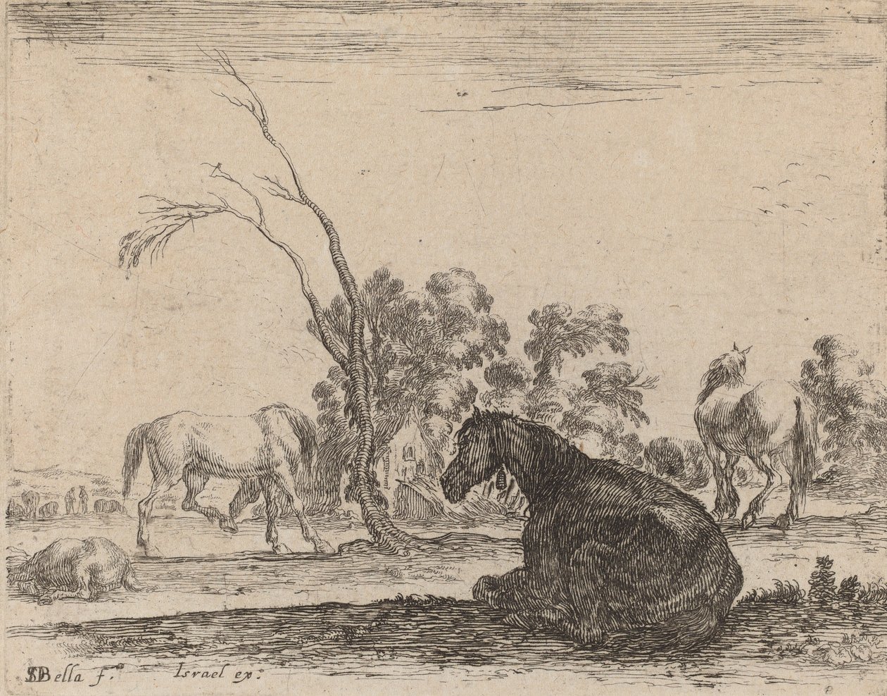 Heste på en græsgang, 1642. af Stefano della Bella