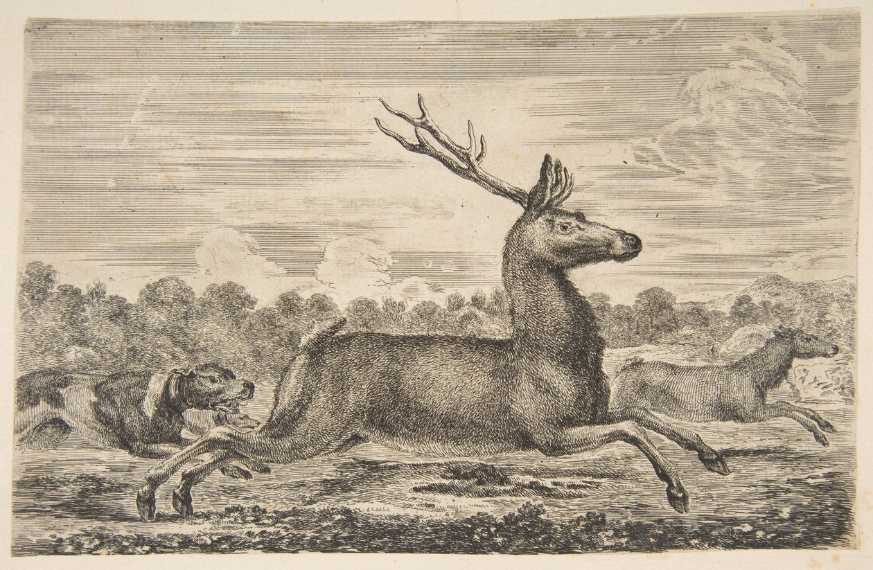 Hunde jagter en kronhjort og en dåe, ca. 1654. af Stefano della Bella