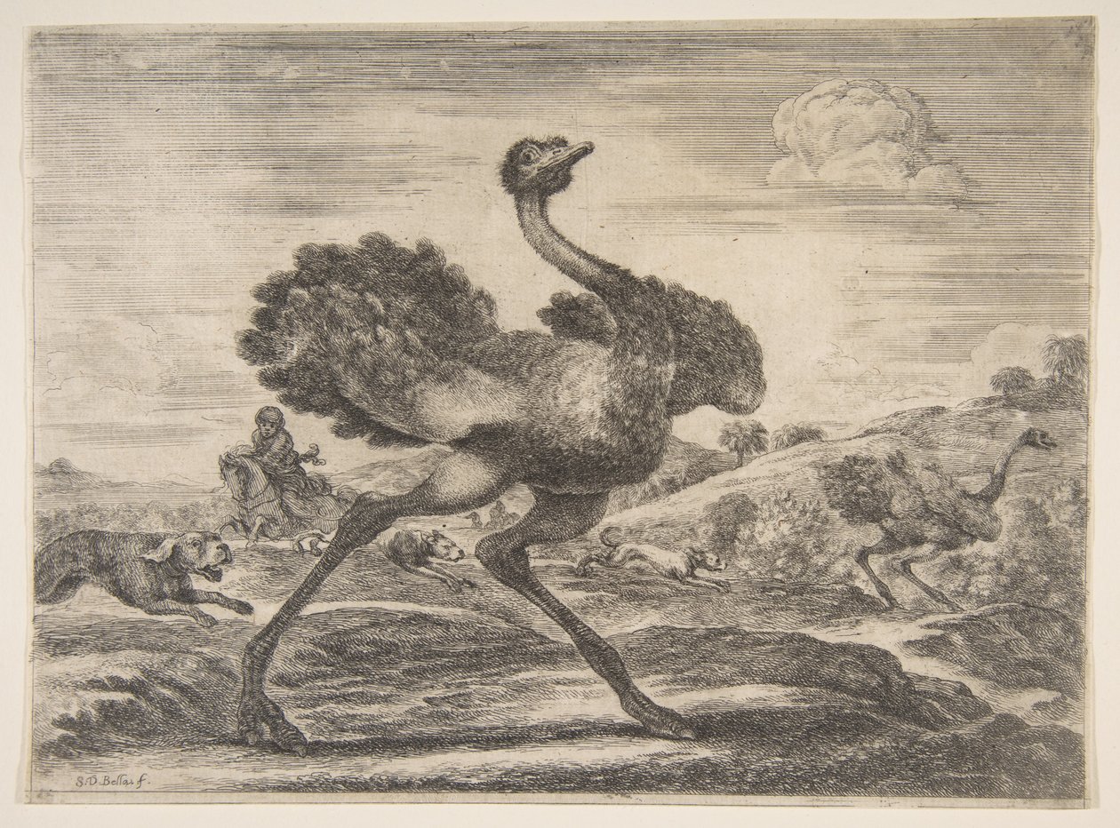 Strudsejagt, fra Animal hunts Jagt på forskellige dyr, ca. 1654. af Stefano della Bella