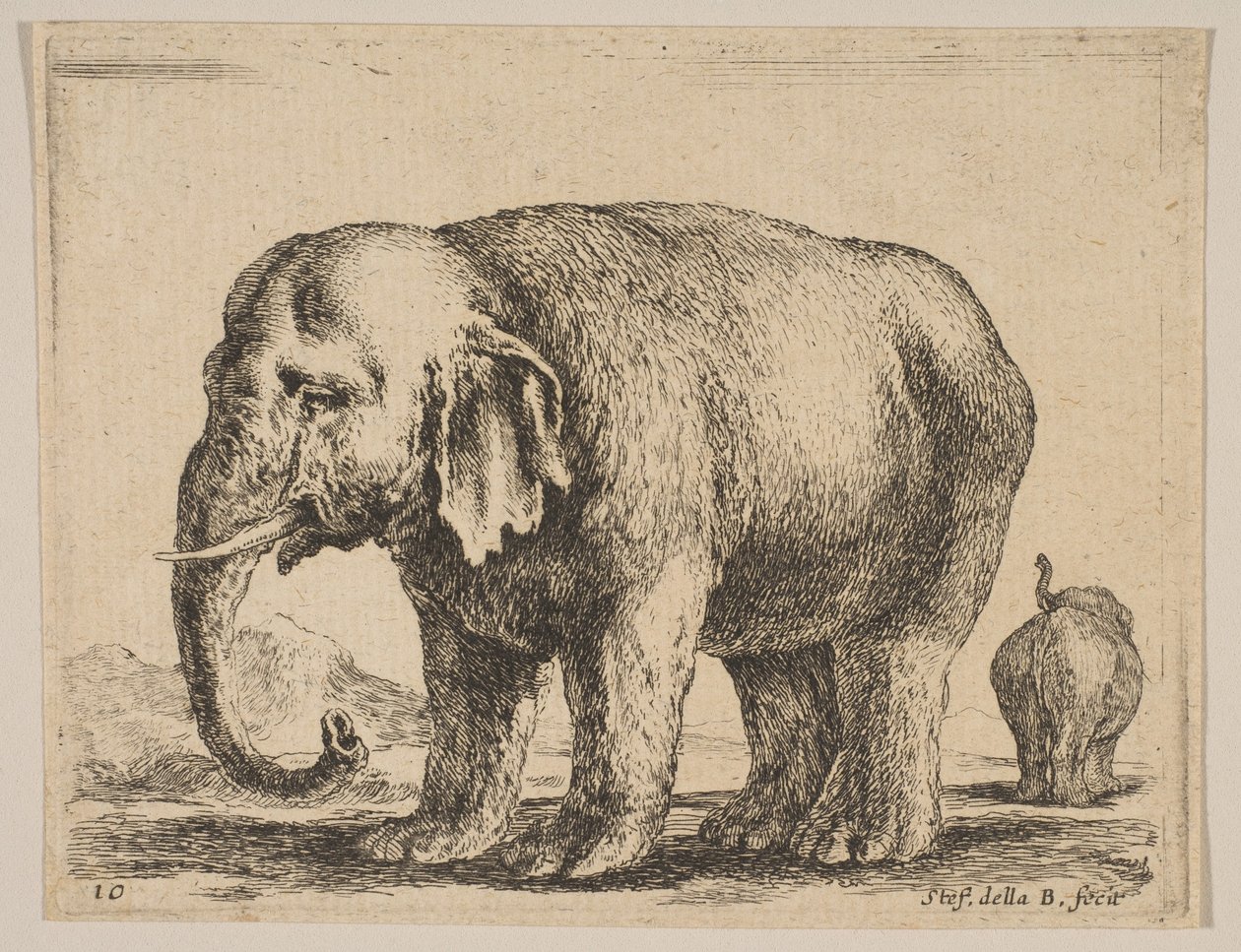 Plade 10: elefant, fra Diverse dyr Diversi animali, ca. 1641. af Stefano della Bella