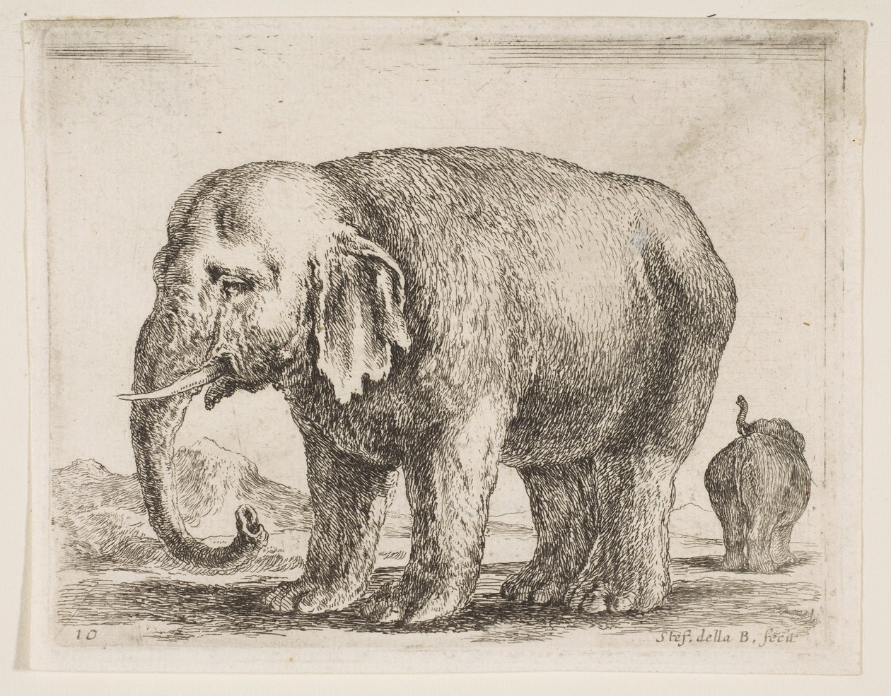Plade 10: elefant, fra Diverse dyr Diversi animali, ca. 1641. af Stefano della Bella