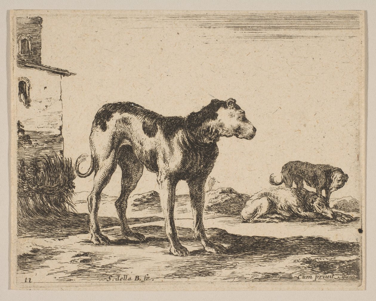 Tavle 11: hunde, fra Diverse dyr Diversi animali, ca. 1641. af Stefano della Bella