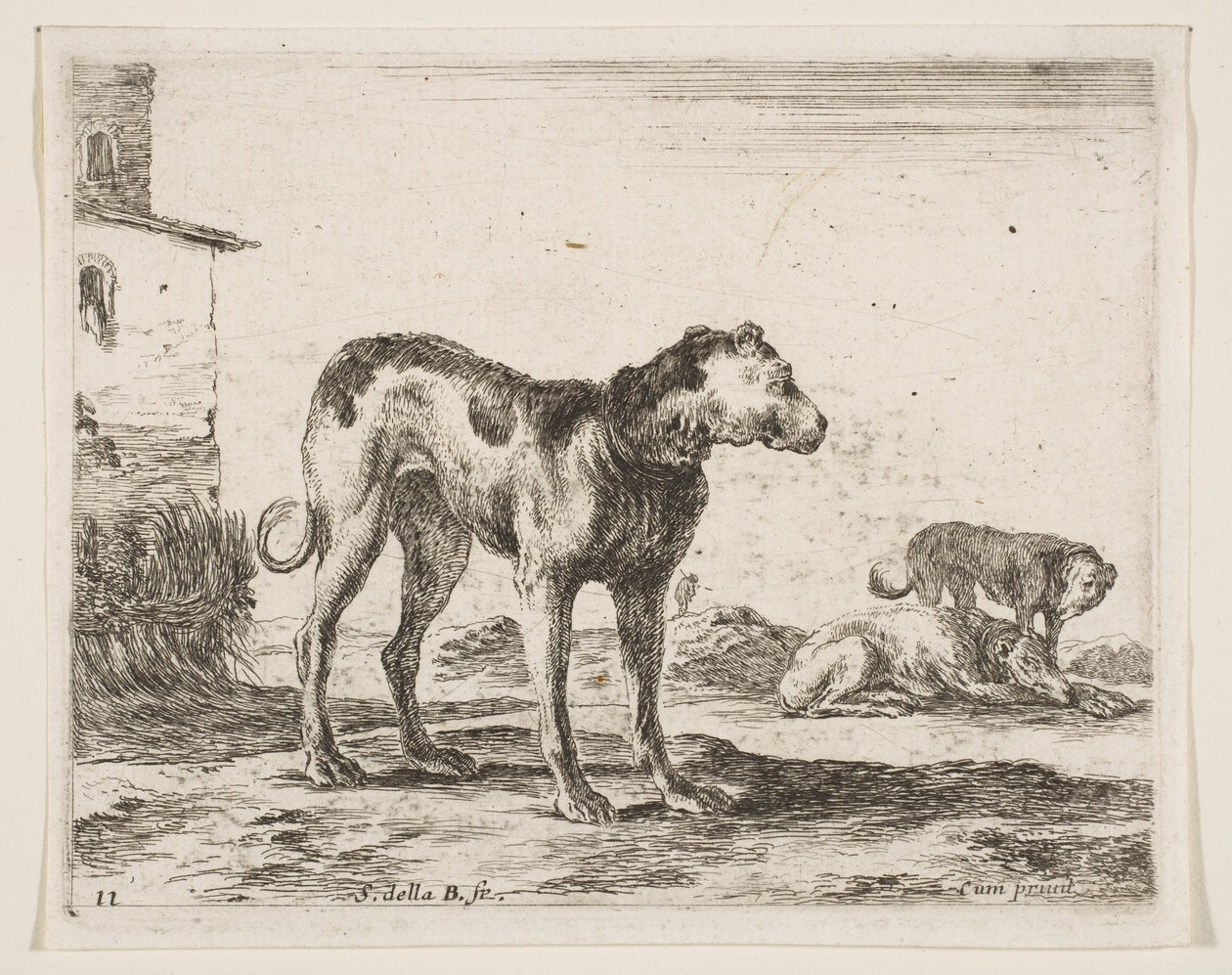 Tavle 11: hunde, fra Diverse dyr Diversi animali, ca. 1641. af Stefano della Bella