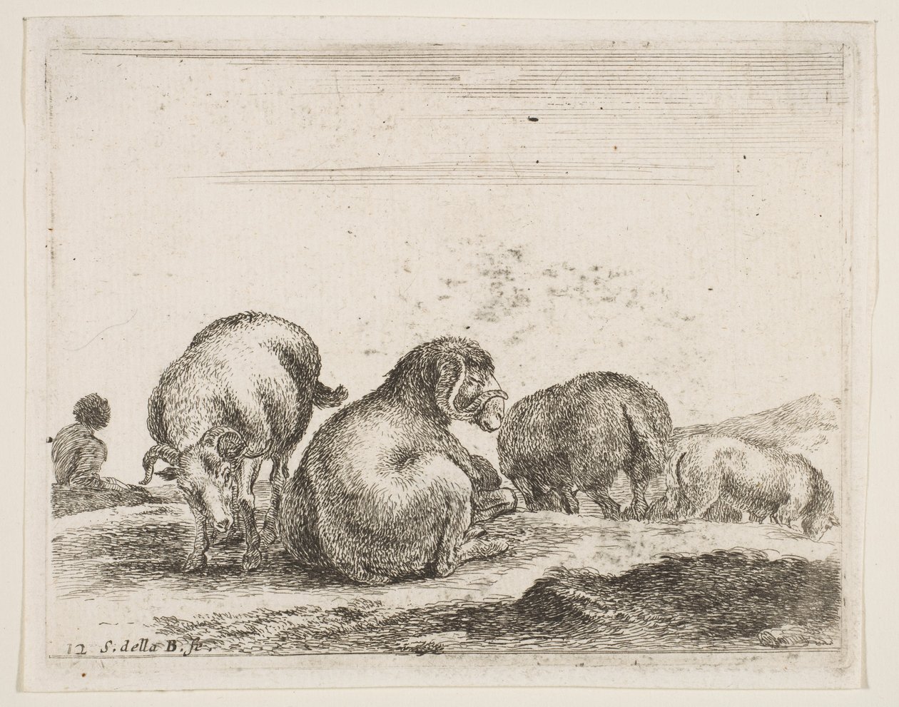 Tavle 12: får og vædder på græs, fra Diverse dyr Diversi animali, ca. 1641. af Stefano della Bella