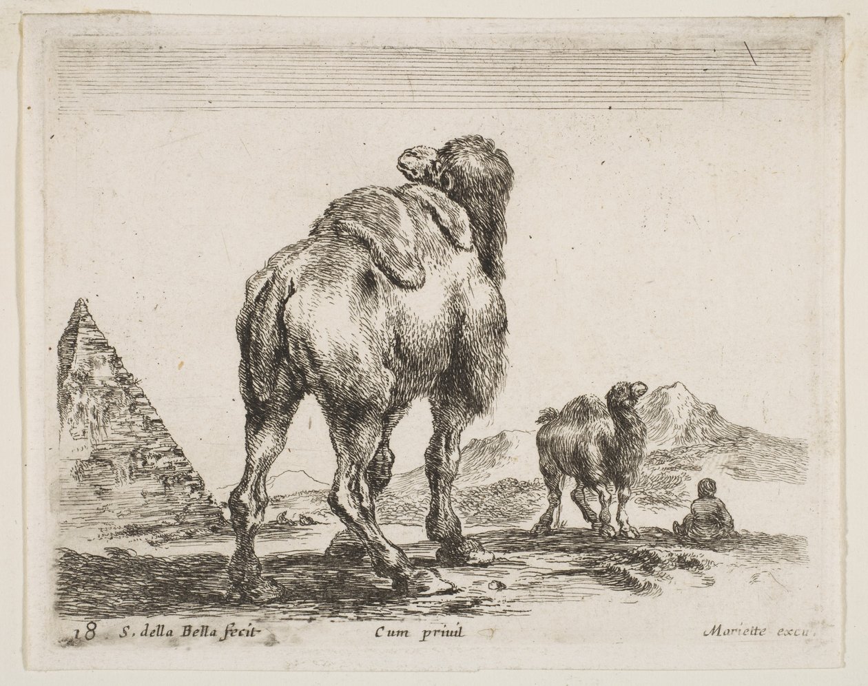 Plade 18: kamel set bagfra med pyramide til venstre, fra Diverse dyr Diver..., ca. 1641. af Stefano della Bella