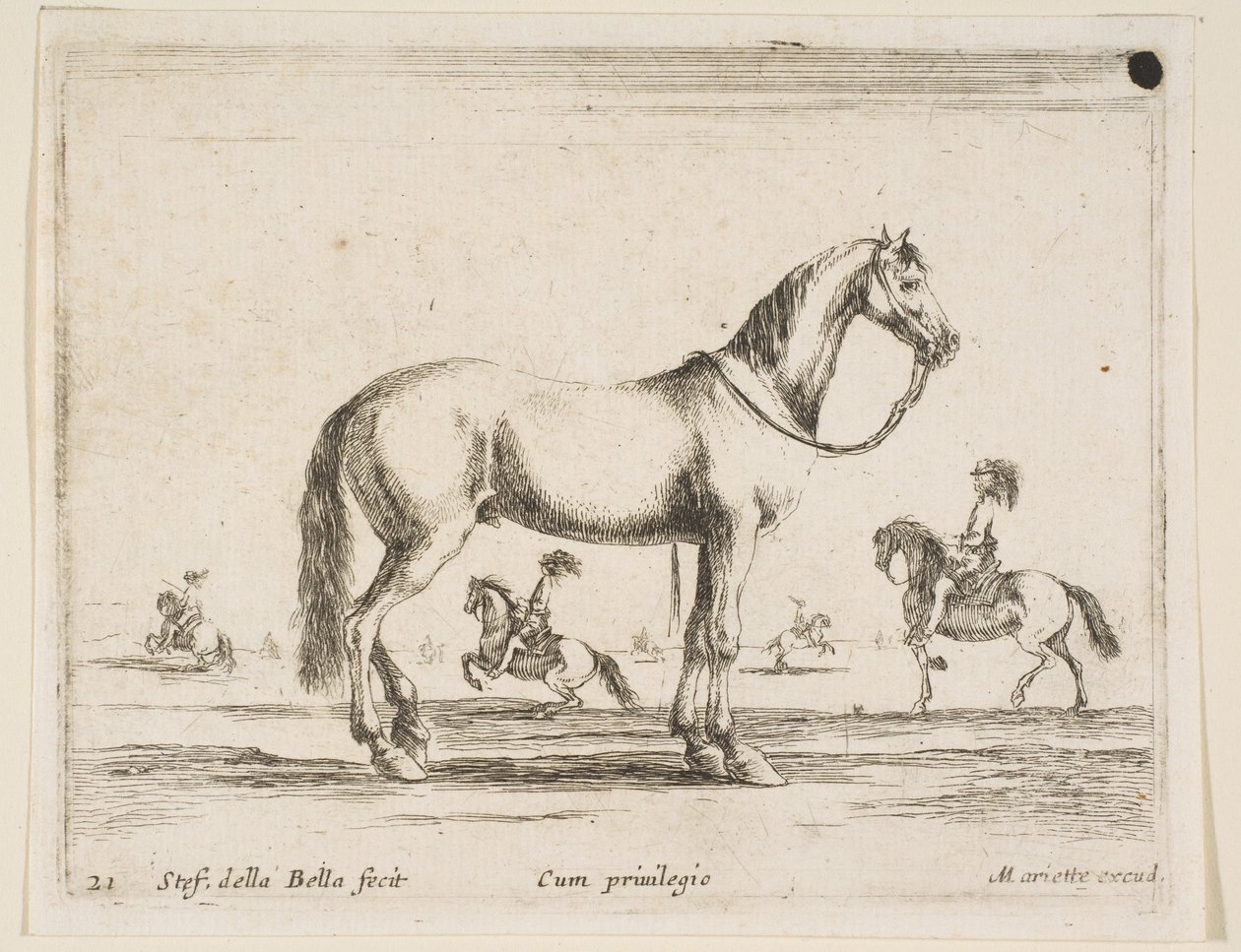 Tavle 21: hest, fra Diverse dyr Diversi animali, 1641. af Stefano della Bella