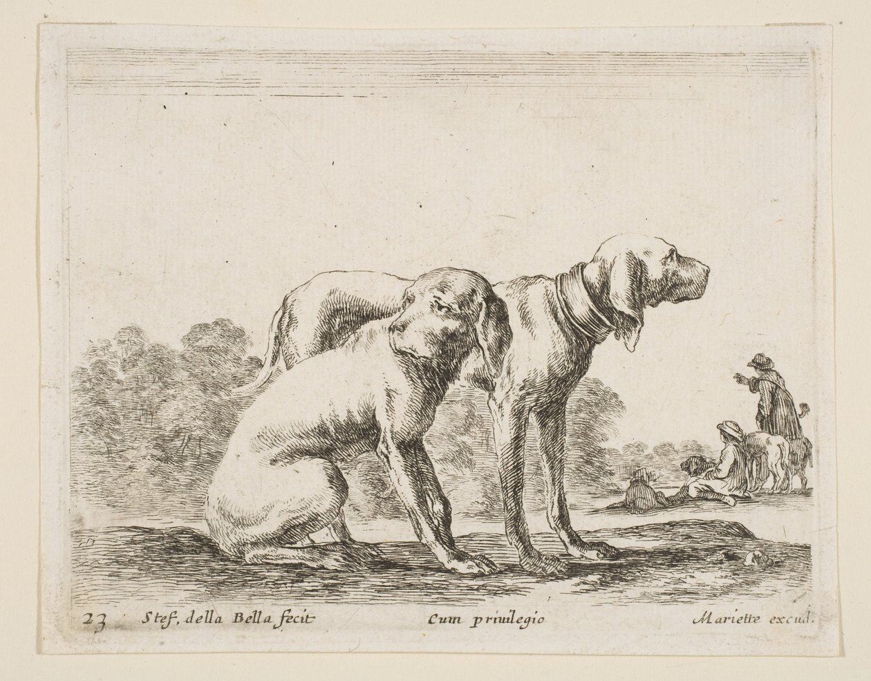 Plade 23: to hunde, fra Diverse dyr Diversi animali, ca. 1641. af Stefano della Bella