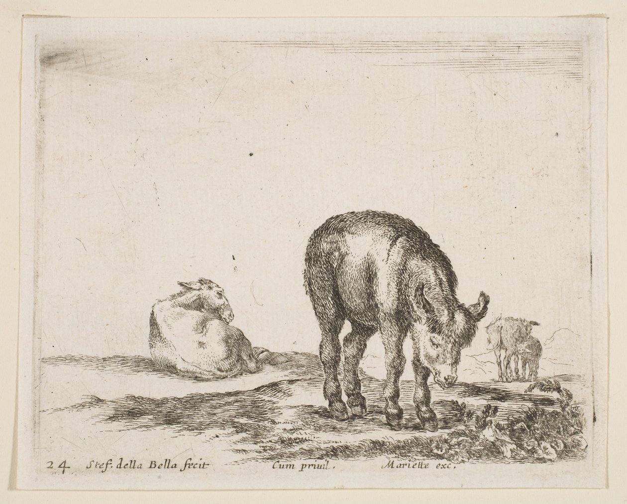 Plade 24: æsler, fra Diverse dyr Diversi animali, ca. 1641. af Stefano della Bella