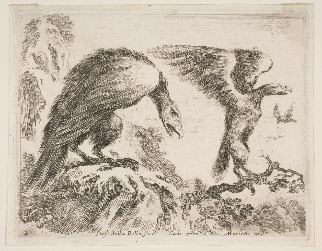 Plade 2: ørn og ørn, fra Diverse dyr Diversi animali, ca. 1641. af Stefano della Bella