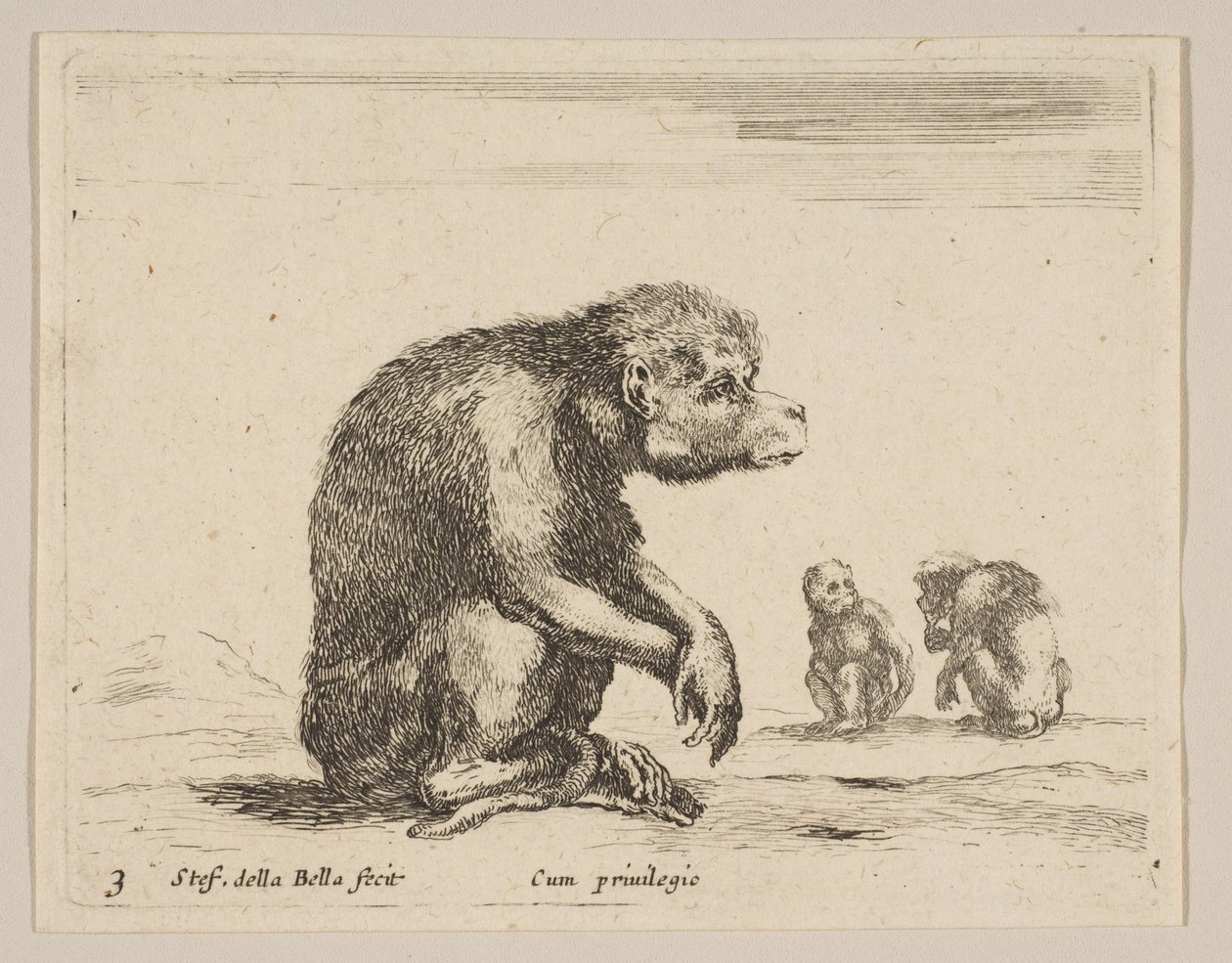 Plade 3: siddende abe, fra Diverse dyr Diversi animali, ca. 1641. af Stefano della Bella