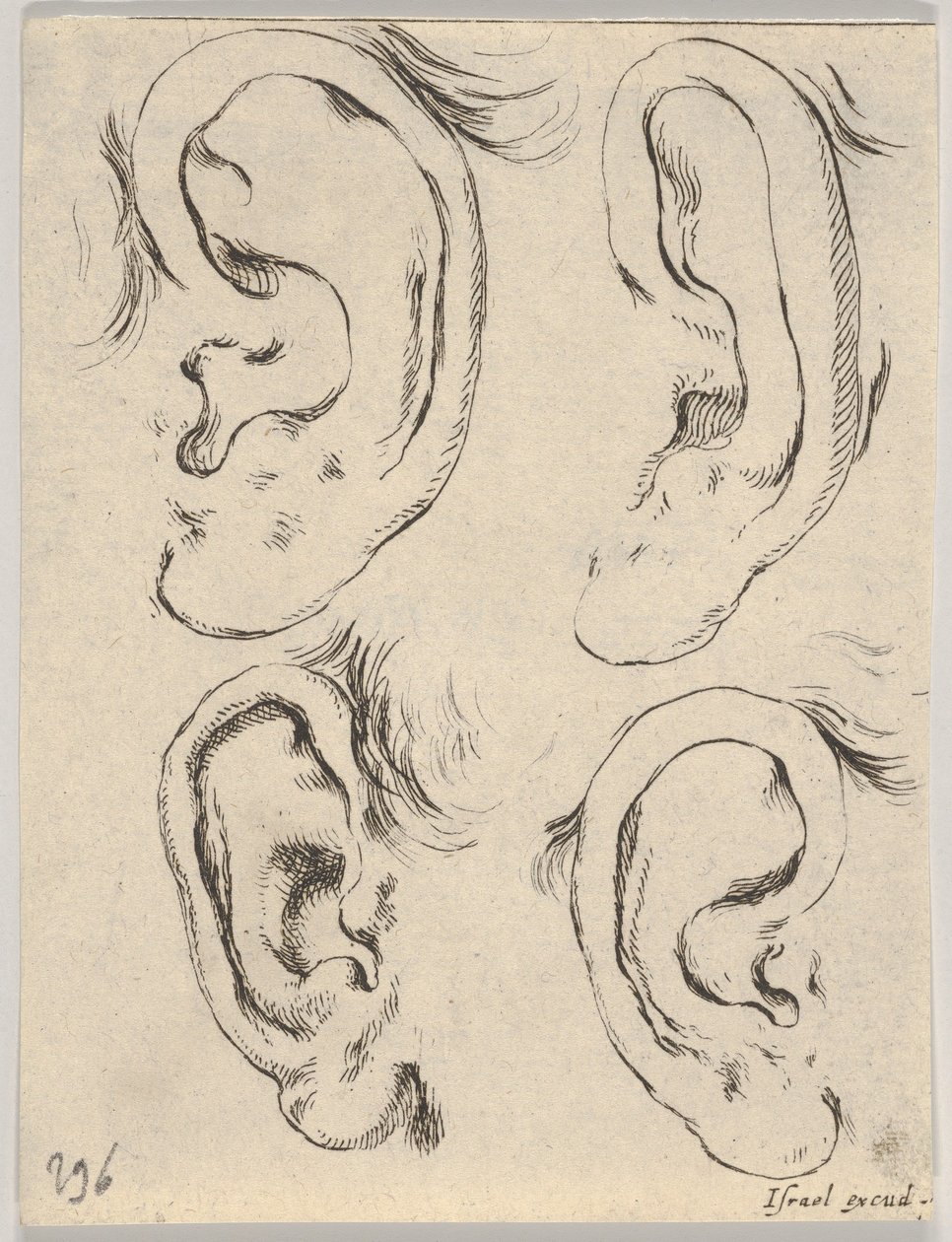 Plade 5: fire ører, fra Bogen om at lære at tegne Bog til at lære at tegne..., ca. 1649. af Stefano della Bella