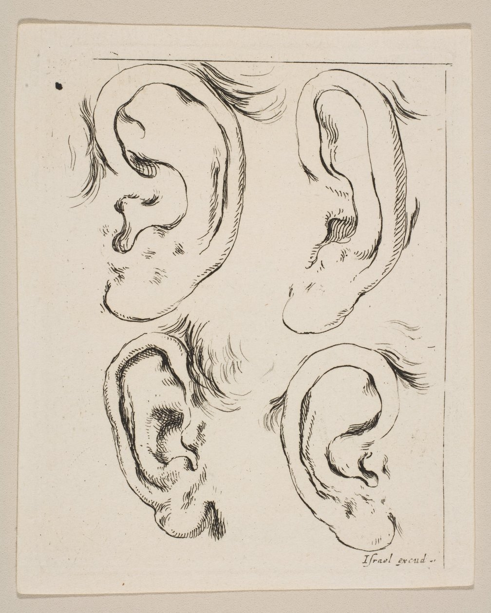 Plade 5: fire ører, fra Bogen om at lære at tegne Bog til at lære at tegne..., ca. 1649. af Stefano della Bella