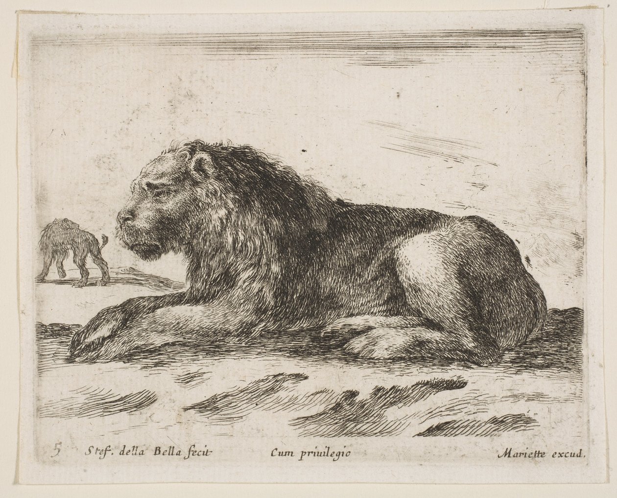 Plade 5: liggende løve, fra Diverse dyr Diversi animali, 1641. af Stefano della Bella