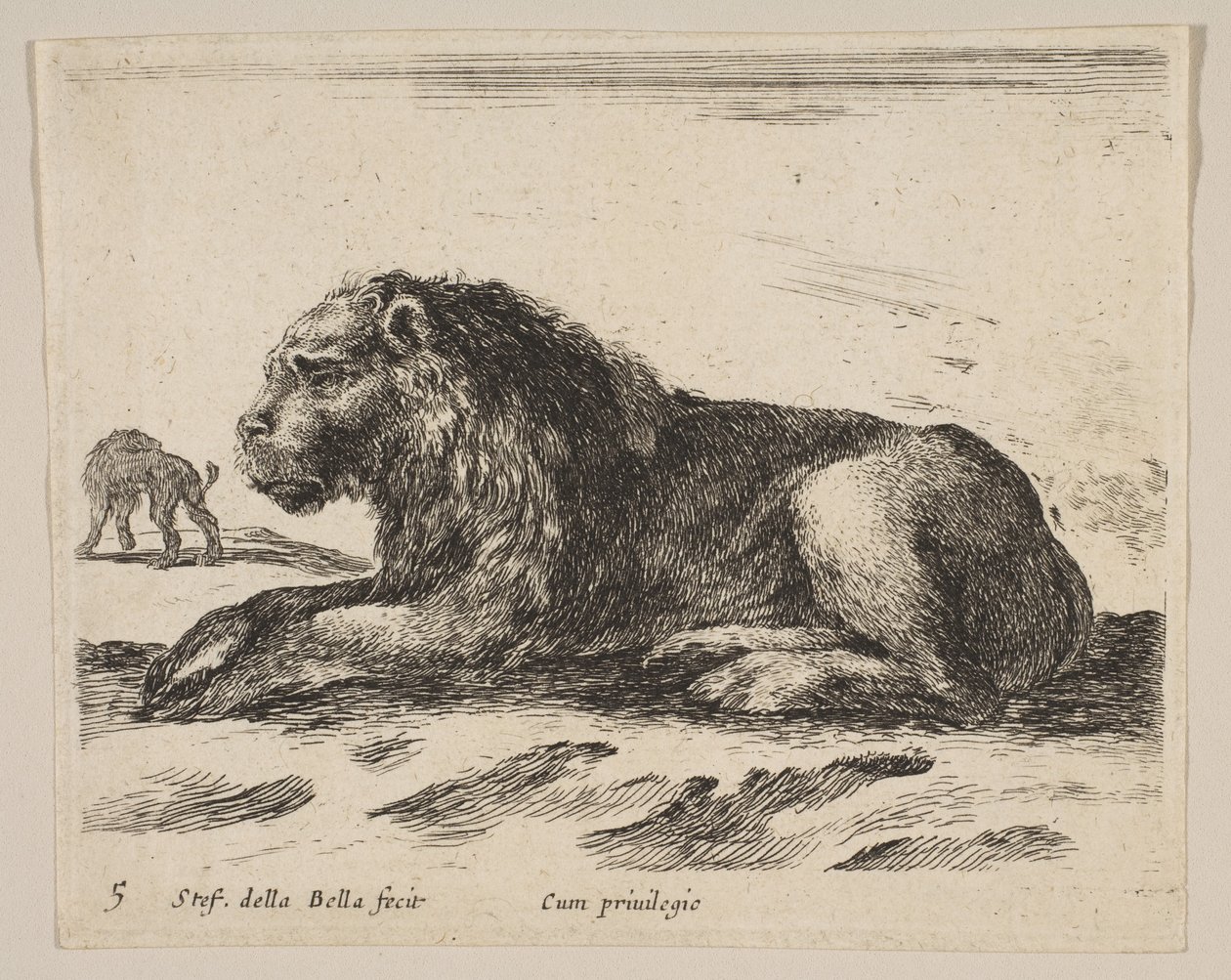 Plade 5: liggende løve, fra Diverse dyr Diversi animali, ca. 1641. af Stefano della Bella