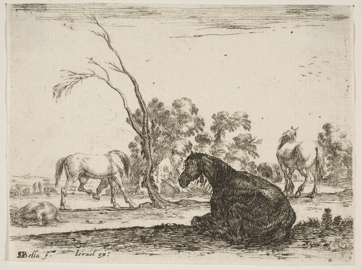 Plade 8: en siddende hest til højre, set bagfra og drejet til venstre, tre andre hor..., 1642. af Stefano della Bella