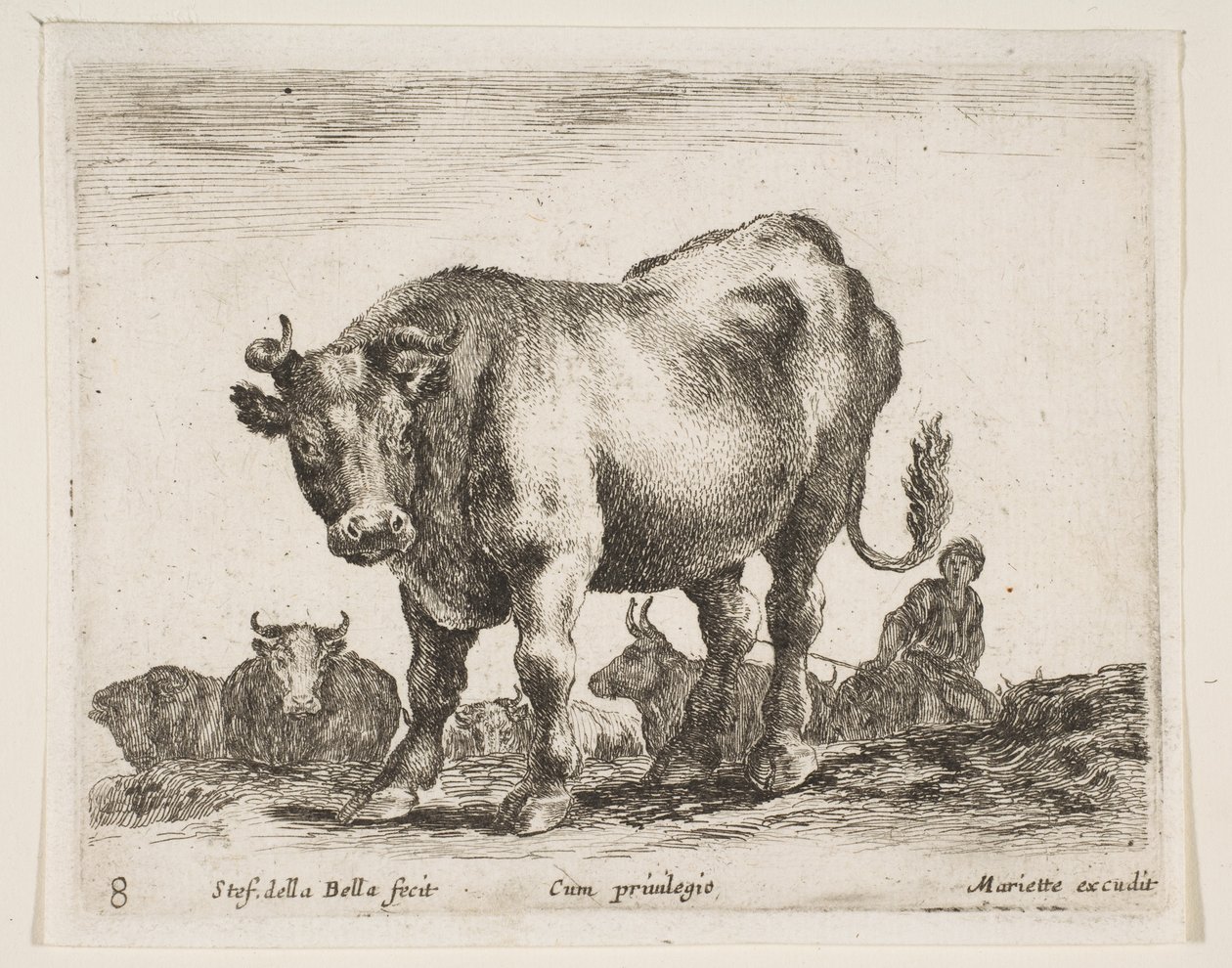 Plade 8: ko, fra Diverse dyr Diversi animali, ca. 1641. af Stefano della Bella