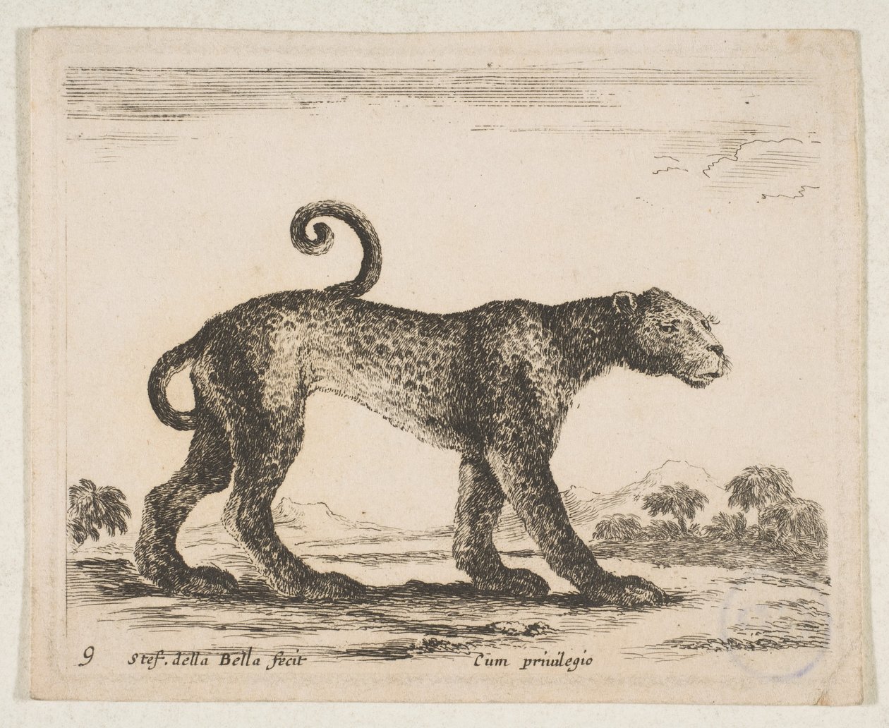 Plade 9: leopard, fra 