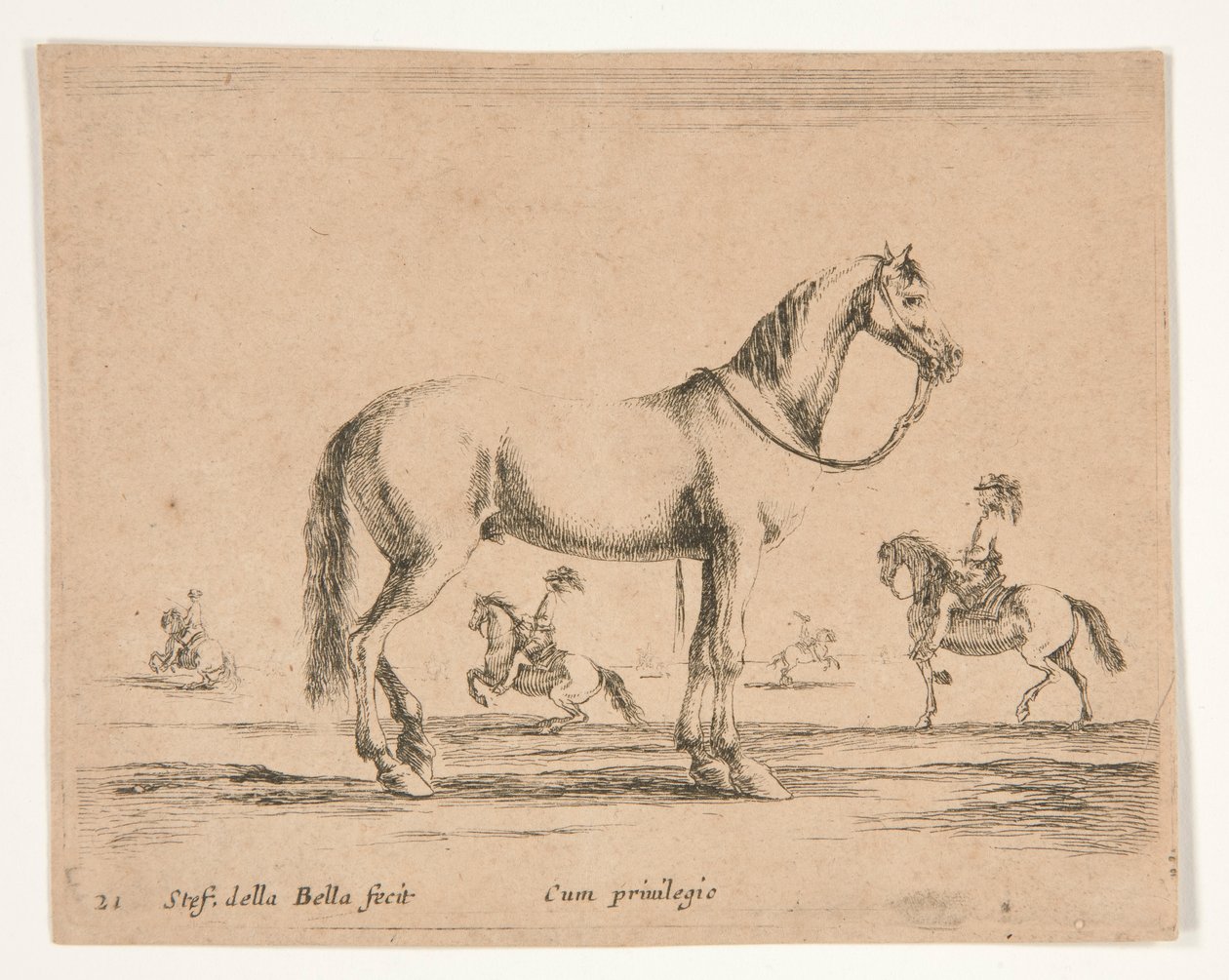Rytterløs hest med ryttere, der dyrker dressur i baggrunden af Stefano della Bella