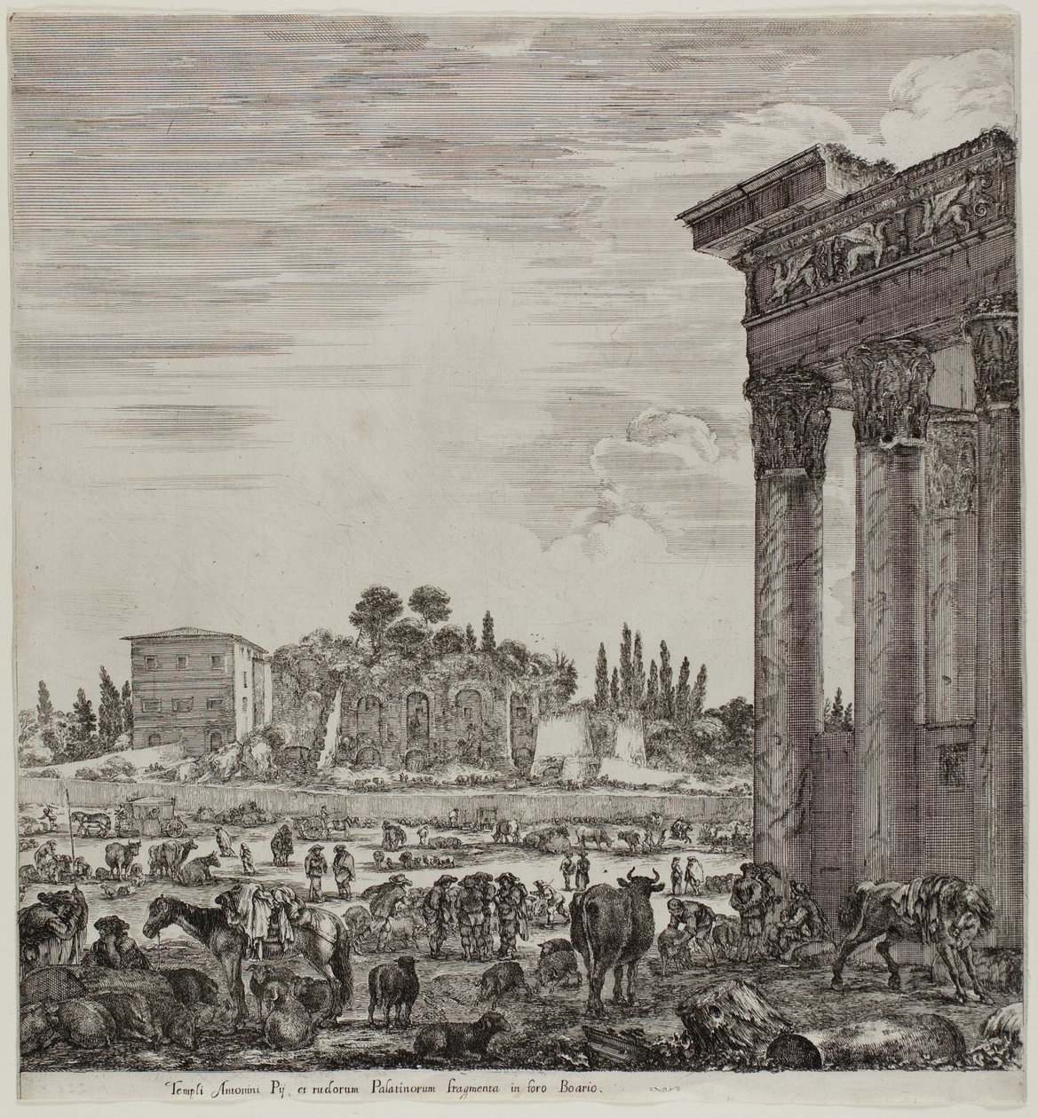 Antonins tempel og Campo Vaccino af Stefano della Bella